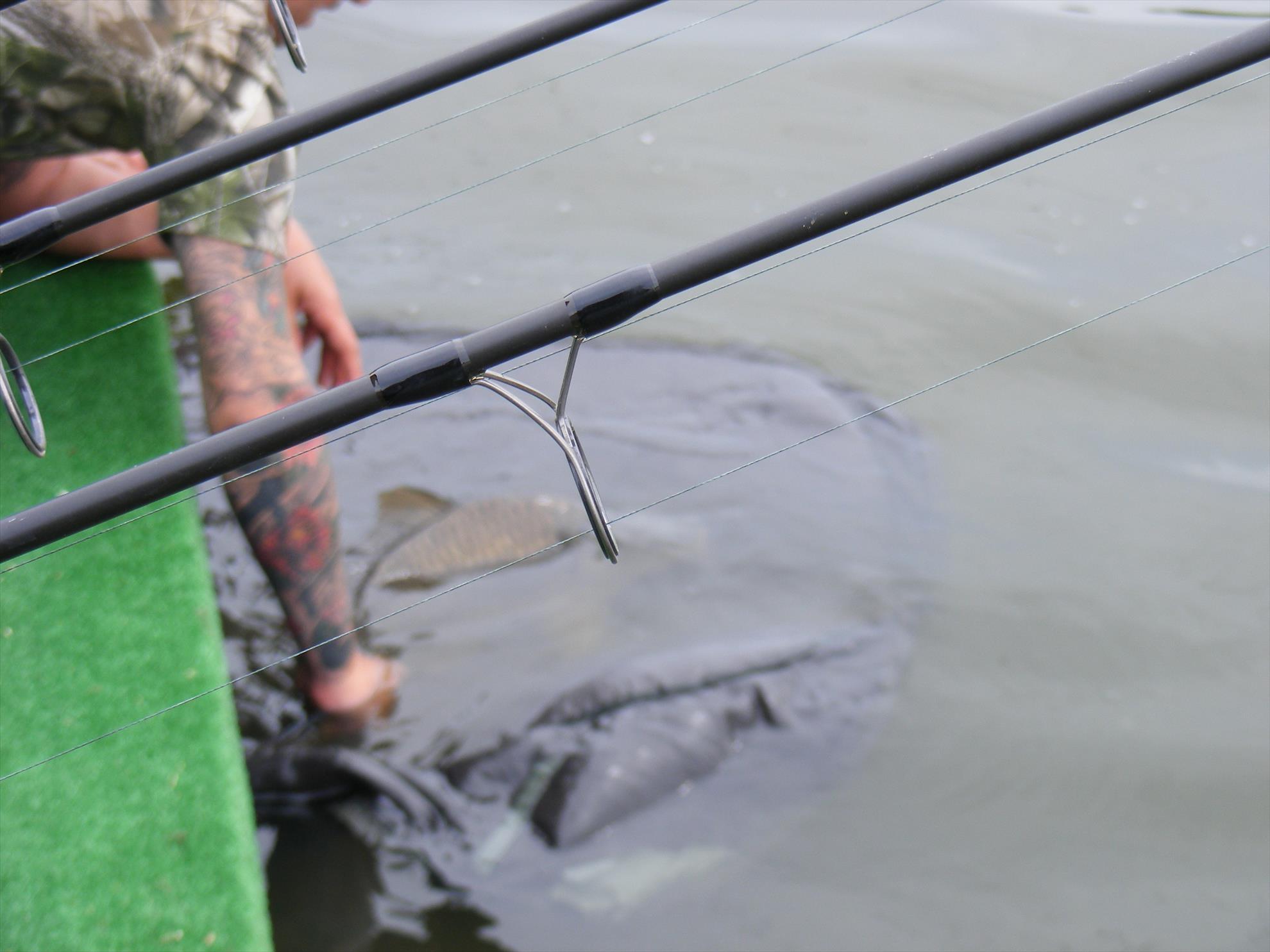 Balotesti iunie-2014 - dscf1089.JPG